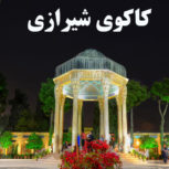 لینکدونی شیراز